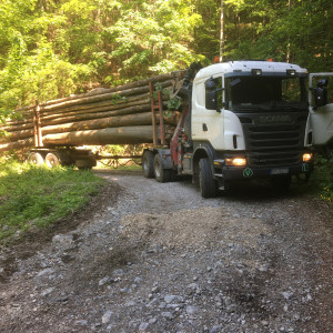 Zvoz dreva z doliny